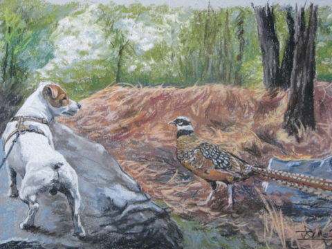 Rencontre