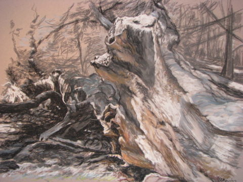 Nature morte